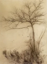 Birds Fly South--Conway